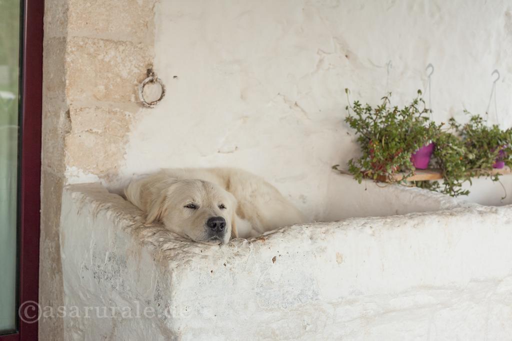 Masseria Ferri Ostuni Buitenkant foto